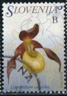 Slovénie 2007 Yv. N°563 - Orchidée Sabot De Vénus - Oblitéré - Slowenien