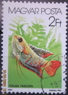 HUNGARY ~ 1987 ~ S.G. NUMBERS 3757, ~ FISH. ~ VFU #02785 - Used Stamps