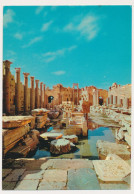 LIBYA LEPTIS MAGNA Basilica, Vintage Old Photo Postcard - Libyen