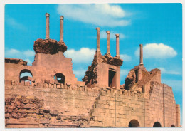 LIBYA LEPTIS MAGNA  Vintage Old Photo Postcard - Libye