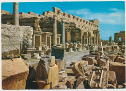 LIBYA LEPTIS MAGNA New Forum Foro Nuovo Vintage Old Photo Postcard - Libye