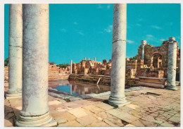 LIBYA LEPTIS MAGNA Terme Vintage Old Photo Postcard - Libyen