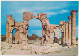 LIBYA PALMYRA Triuph Arch Arc De Triomphe Vintage Old Photo Postcard - Libye