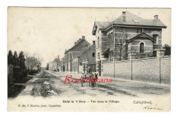 Kalmthout Calmpthout CPA 1903 Zicht In 't Dorp Geanimeerd Kar Met Ezel Nr 780 Hoelen Cappellen (In Zeer Goede Staat) - Kalmthout