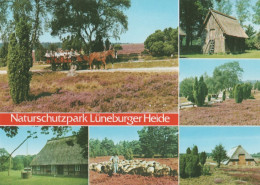 26694 - Lüneburger Heide - Ca. 1995 - Lüneburger Heide