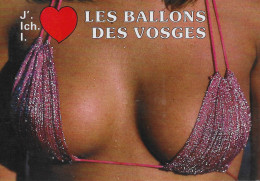 CPSM - Pin-Ups  -Souvenir Des Vosges -Les Ballons Des VOSGES. - Pin-Ups