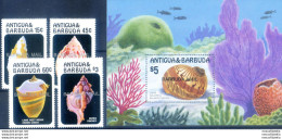 Conchiglie 1986. - Antigua Und Barbuda (1981-...)
