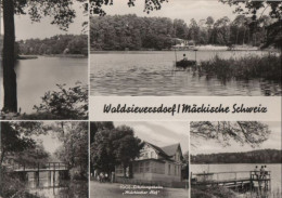 79403 - Waldsieversdorf - Mit 5 Bildern - 1974 - Seelow