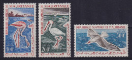 Mauretanien 1961 Flugpostmarken Wasservögel Mi.-Nr. 178-180 Postfrisch ** - Mauritanie (1960-...)