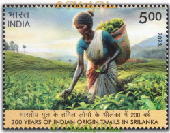 India 2023,Tea, Plucking, Drink, Food,Woman, 200th Years Of Indian Origin Tamils In Sri Lanka, 1v MNH (**) Inde Indien - Neufs