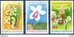 Flora. Orchidee 1977. - Indonesië