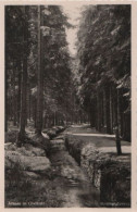 57997 - Altenau - Dammgrabenweg - Ca. 1955 - Altenau