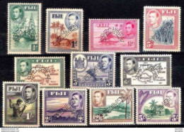 20535   Fiji - Yv 104-14 - SPECIMEN  - No Gum - 42,00 (160) - Fiji (...-1970)