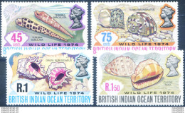 Conchiglie 1974. - Territorio Britannico Dell'Oceano Indiano