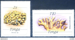 Definitiva. Fauna Marina 1984. - Tonga (1970-...)