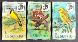 LESOTHO 1981 - Birds Definitive, 3 Stamps, MH Mint Slightly Hinged - Lesotho (1966-...)