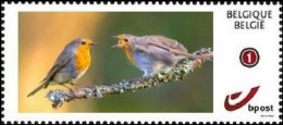 DUOSTAMP** / MYSTAMP** - Rouge Gorge / Roodborstje / Rote Kehle / Red Throat / Erithacus Rubecula - Nuevos