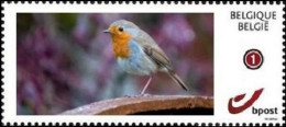 DUOSTAMP** / MYSTAMP** - Rouge Gorge / Roodborstje / Rote Kehle / Red Throat / Erithacus Rubecula - Mint