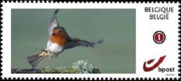 DUOSTAMP** / MYSTAMP** - Rouge Gorge / Roodborstje / Rote Kehle / Red Throat / Erithacus Rubecula - Nuevos