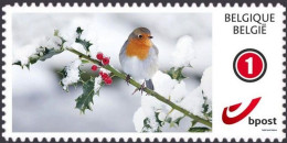 DUOSTAMP** / MYSTAMP** - Magical Winter - Rouge-gorge /  Roodborstje - Autocollant / Zelfklevend / Selbstklebend - Postfris