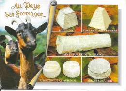 Régions > Centre-Val De Loire Au Pays Des Fromages - Centre-Val De Loire