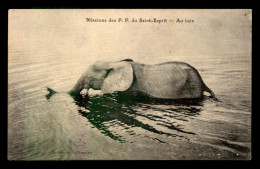 MISSIONS - AFRIQUE NOIRE - MISSIONS DES PERES DU ST-ESPRIT - ELEPHANT AU BAIN - Missioni