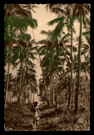 MISSIONS - ILES SALOMON - MISSIONS MARISTES D'OCEANIE - PAYSAGE SAMOAN - Missions