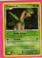 Carte Pokemon 2008 Diamant Et Perle Tresor Mysterieux 64/123 Tropius 80pv Neuve - Diamante Y Perla