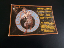 BELLE ILLUSTRATION ZODIAQUE HOROSCOPE.."CAPRICORNE" .. - Astrology