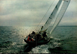 N°41915 Z -cpsm Voilier : "Firebrand" - Voile