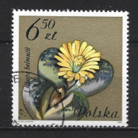 Poland 1981 Flowers Y.T. 2605 (0) - Usados