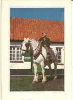 Cheval Boulonnais-cavalier-- Scene En Pas De Calais- Agriculture-cpm - Nord-Pas-de-Calais