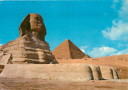 Egypte - Gizeh - Giza - The Sphinx And The Pyramid Of Cheops - Voir Timbre - CPM - Voir Scans Recto-Verso - Gizeh