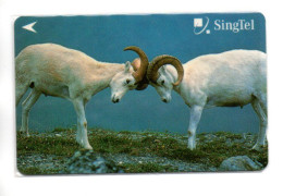 Bélier Animal Télécarte Singapour Phonecard Telefonkarte (K 69) - Singapour