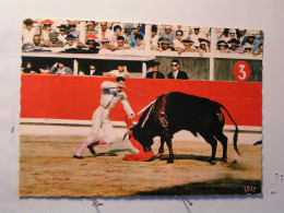 Corrida - Corrida De Toros - Entrado A Matar - Corridas