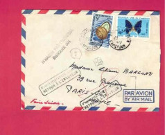 Lettre De 1972 Pour La France - YT N° 445 Et 528 - Noix De Coco - Papillon - Cameroun (1960-...)