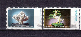 Indonesië 1990 Mi Nr 1340 - 1341, Plantyen, Cactus, Bonsai - Indonesië