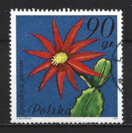 Poland 1981 Flowers Y.T. 2599(0) - Used Stamps