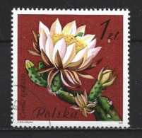Poland 1981 Flowers Y.T. 2600 (0) - Used Stamps