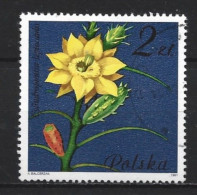 Poland 1981 Flowers Y.T. 2601 (0) - Usados