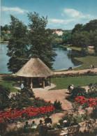 20265 - Bad Schwartau - Kurpark - Ca. 1965 - Bad Schwartau