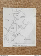 Carta Geografica O Mappa Del 1937 Zona Archeologica Del Metaponto Basilicata TCI - Cartes Géographiques