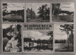 43496 - Schönebeck - U.a. Kolumbussee - 1967 - Schoenebeck (Elbe)