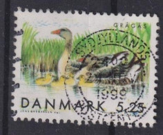 Denmark 1999; Birds (Greylag Goose) - Michel 1224, Used. - Used Stamps
