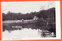 37569 / ⭐ ARNHEM Gelderland Park Sonsbeek Hertenkamp 1900s Uitg JONKER En Nederkoorn Alkmaar Nederland Pays-Bas - Arnhem