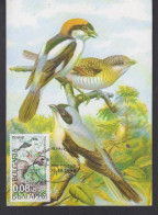 BULGARIA, CARTE MAXIMUM, BIRDS-Lanius Minor # - Songbirds & Tree Dwellers