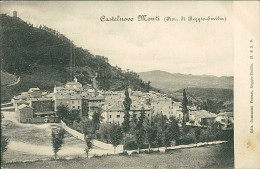 CASTELNOVO NE MONTI ( REGGIO EMILIA ) PANORAMA - EDIZ. FERRARI - SPEDITA 1904 (20121) - Reggio Nell'Emilia