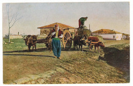 AB 3 - 2833 ETHNICS, Albania, Carts - Old Postcard - Unused - Albanie