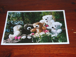 72651-      USED CARD / TEDDYBEARS /  / BEREN / BEARS / BÄREN / OURS / ORSI - Jeux Et Jouets