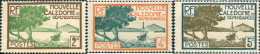 727118 HINGED NUEVA CALEDONIA 1928 SERIE BASICA - Unused Stamps